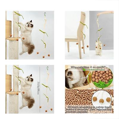 Catnip Toys Cat Interactive Hanging Sisal Rope Teaser Tree Tower Accessories For