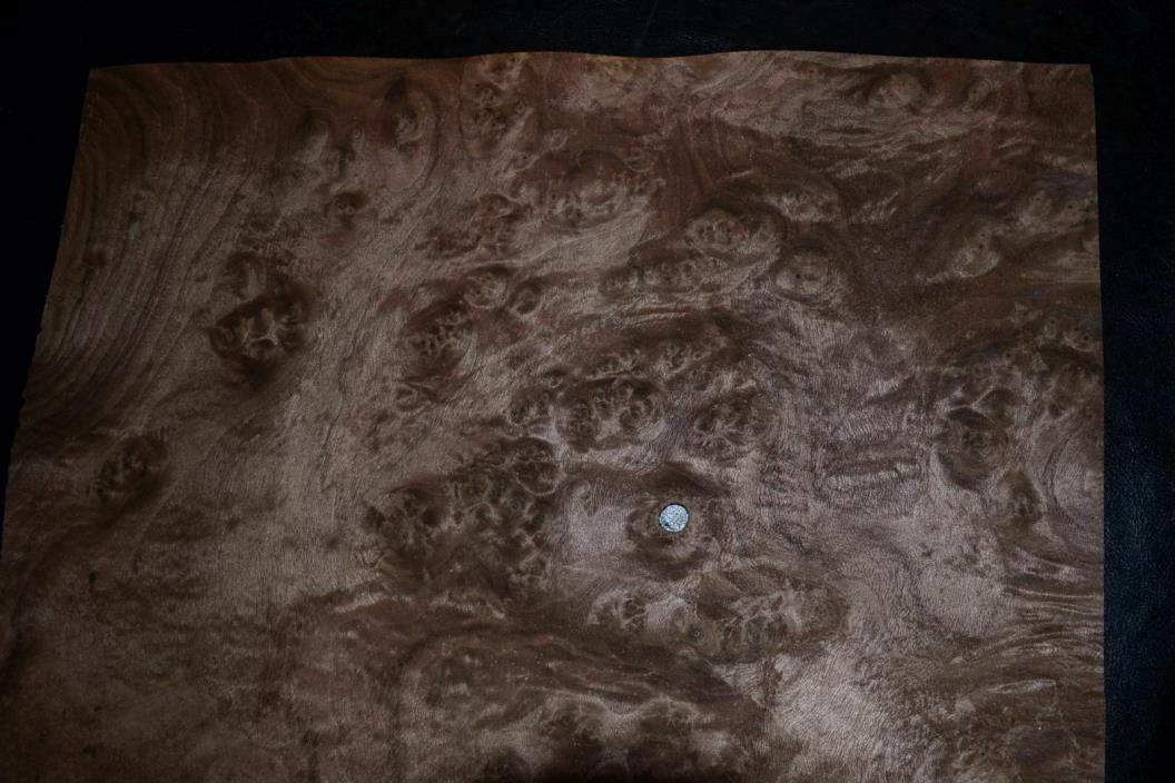 Walnut Burl Raw Wood Veneer Sheet 17 x 21 inches 1/42nd                 8627-8