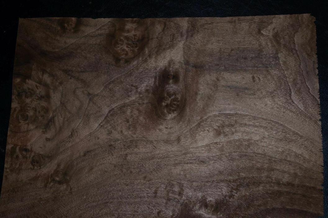 Walnut Burl Raw Wood Veneer Sheet 13 x 17 inches 1/42nd                 8627-9