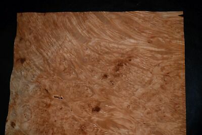 Maple Burl Raw Wood Veneer Sheets 13 x 16.5 inches 1/42nd thick          4706-18