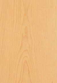 2ply Wood-Backer, Premium Flat-Cut Maple Veneer Sheet, 4' x 8' x .032
