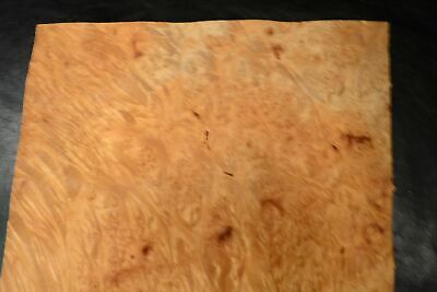 Maple Burl Raw Wood Veneer Sheets 12 x 13 inches 1/42nd thick            6837-31