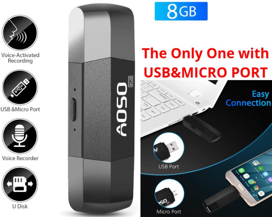 Hidden Voice Activated Recorder USB & Micro Port Spy Audio Secret Dictaphone New