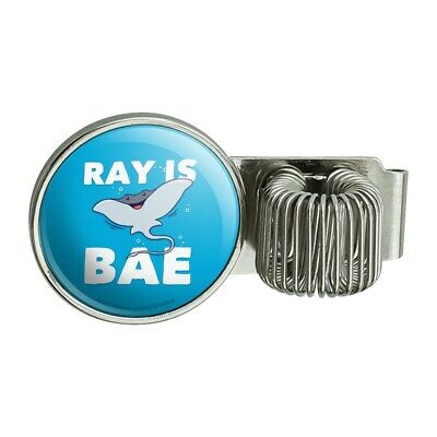 Ray is Bae Funny Humor Pen Holder Clip for Planner Journal Book