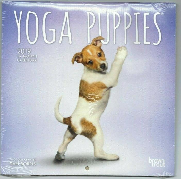 Yoga Puppies 2019 7