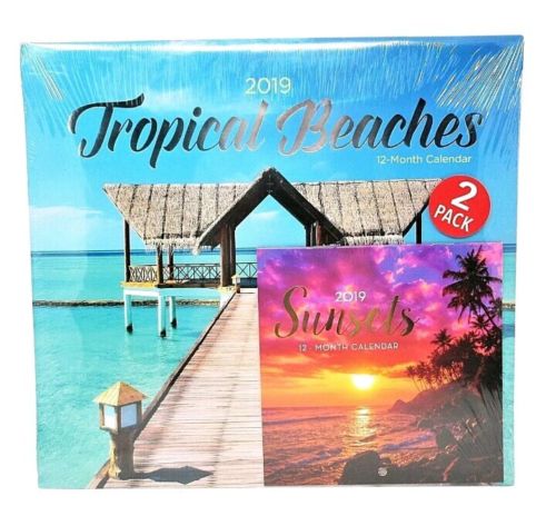 2019 Calendar 2-Pack Wall & Desk size, 12 month, Sealed, New ~ BEACHES / SUNSETS