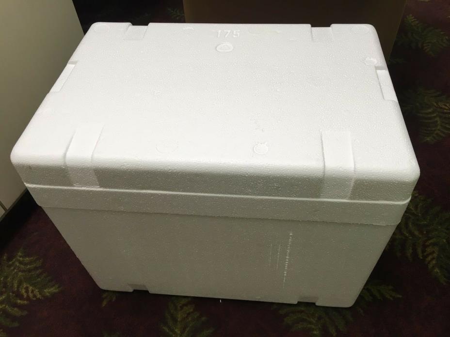 Large Styrofoam Cooler Insulated 19.5