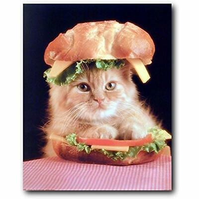 Cute Cat In Sandwich Kitten Animal Wall Decor Art Print Poster (16x20) Posters