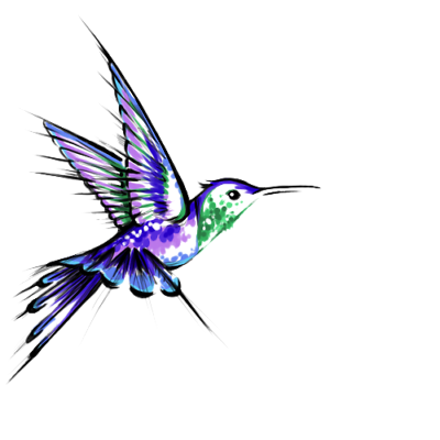 Sublimation Transfer Hummingbird Design