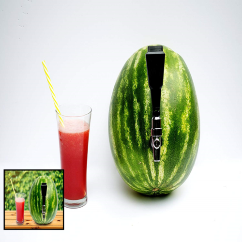 Fruit Keg Tapping & Spout Kit Stainless Steel Drink Dispenser Set For Watermelon