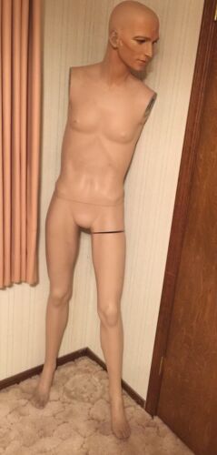 Vintage Decter Male Mannequin Torso And Legs Only M55 With Glass Eyes