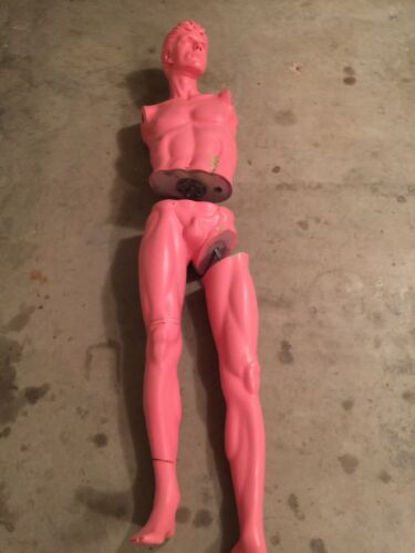 Vintage Decter Male Mannequin Torso And Legs Only From The American Male AM60