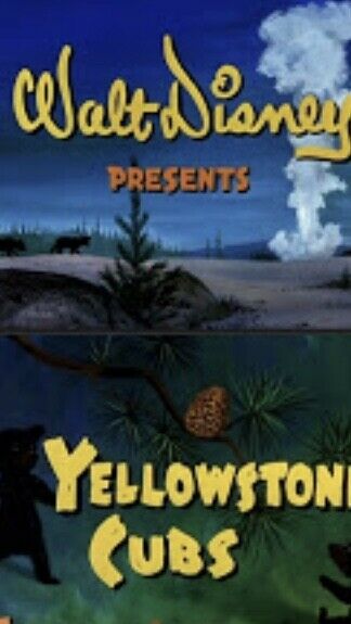 16mm Walt Disney “YELLOWSTONE CUBS” 1963 Live Action Nature Series