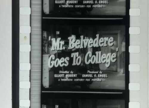 MR. BELVEDERE GOES TO COLLEGE 1949 35mm B-W trailer CLIFTON WEBB SHIRLEY TEMPLE