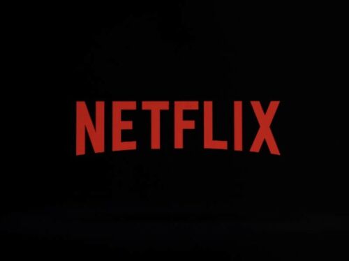 Netflix - PREMIUM ACCOUNTS?? (FAST EMAIL DELIVERY)