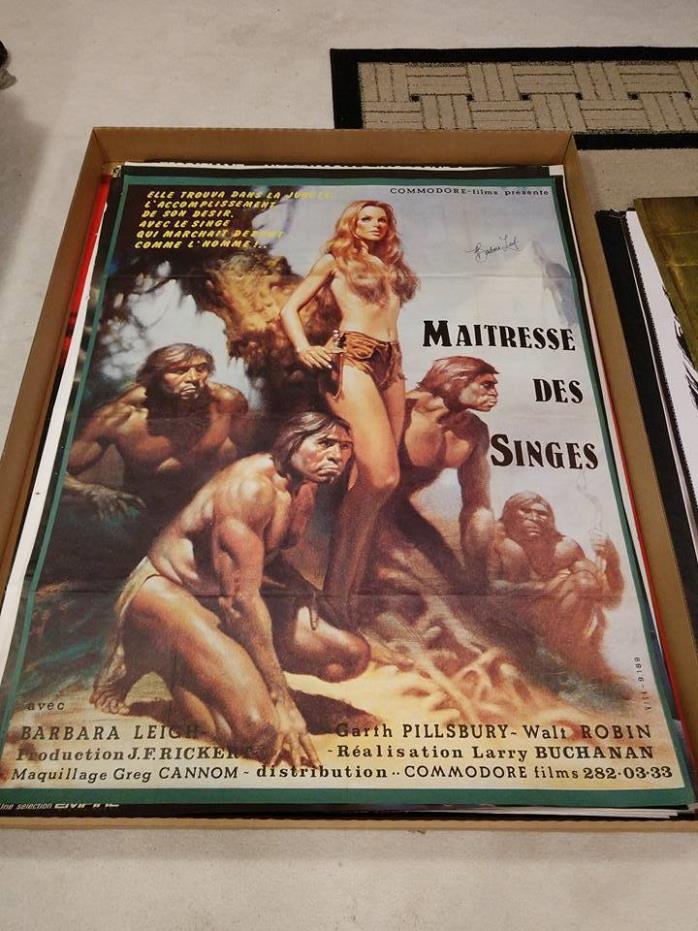 Mistress Of The Apes Poster 47x63 Barbara Leigh