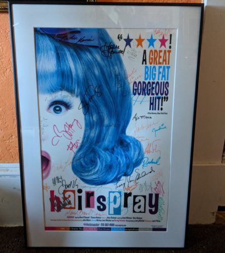 HAIRSPRAY Framed Poster Signed, Original Broadway Cast Members, Collectible mint