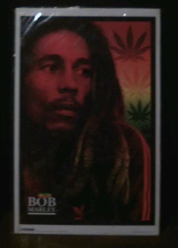 Bob Marley , Grateful Dead, Bob Dylan , Ramones, B52s Posters