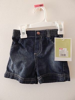 Circo baby jean shorts NWT