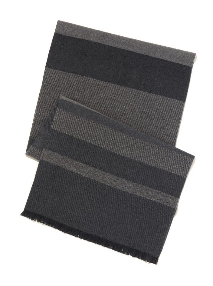 ROBERT GRAHAM HAGUE STRIPED SCARF $145 MSRP NWT