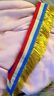 USA City Town Municipal Council Mayor Officer Marshal July Parade Ceremony Sash