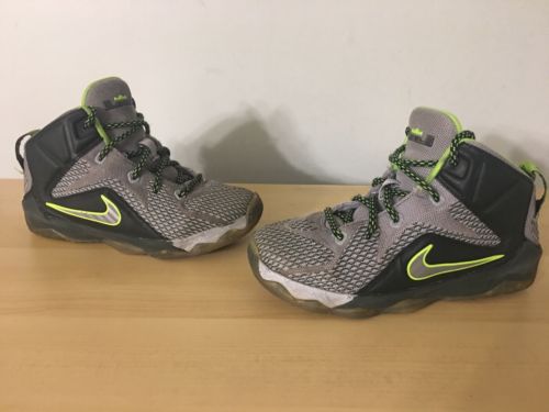 Nike Lebron XII Dunkman 685184-007 Toddler Kids Gray Green Size 13c