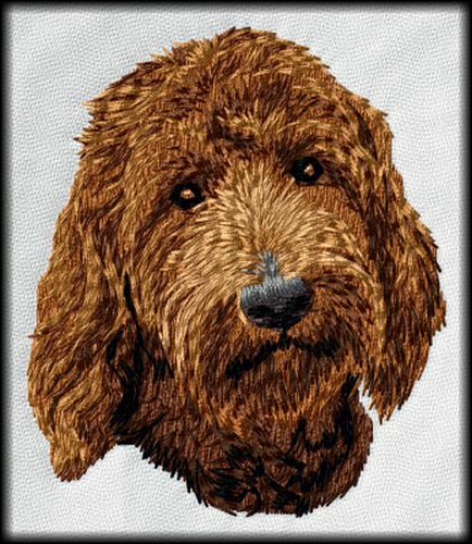 Goldendoodle Golden Doodle Dog, Embroidered Patches 3