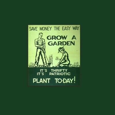 GARDEN T shirt M L NWT Gildan Grow A Garden Patriotic Green Cotton Short Sleeved
