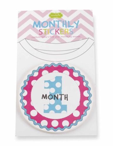 Monthly Milestone Stickers Baby Girl MUD PIE First Year Months 1-12 NEW Sealed