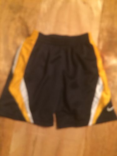 Nike Boys Shorts Size 2T