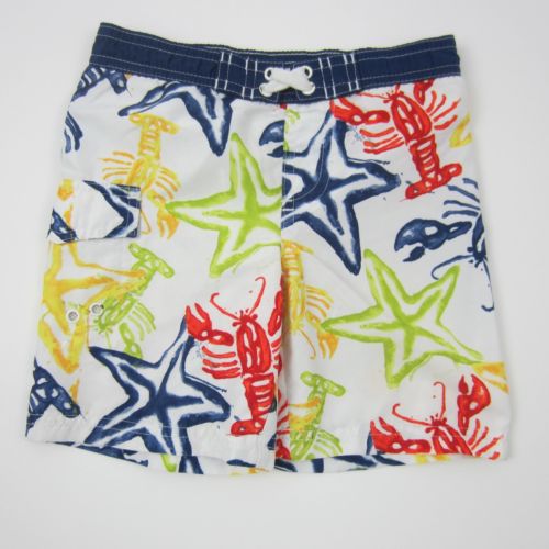 Arizona Boys Shorts Printed Starfish Beach Swim Trunks White Size 24 Months