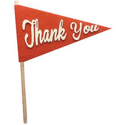 Fancy Pants Felt Pennants Thank You 810799027757