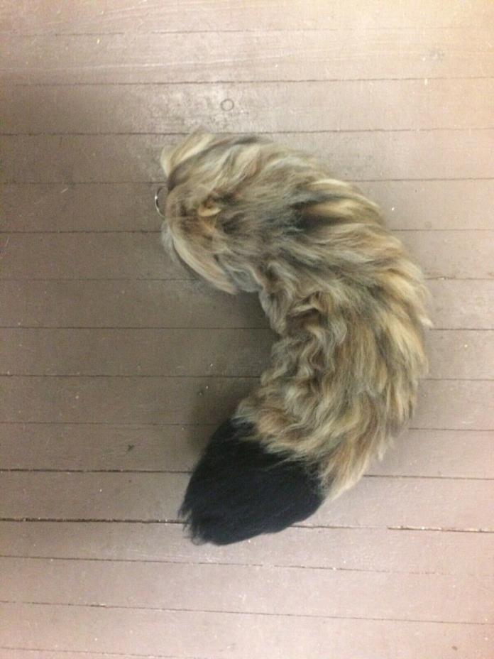 Brown Black-Tipped Wolf Tail (Yarn)