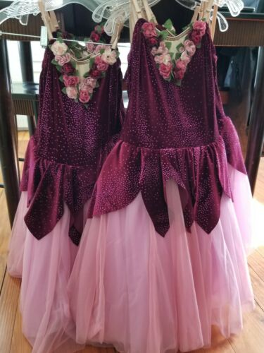 Lot of 8 Dresses Ballet Dance Costumes Recital Floral Burgundy Red Theater