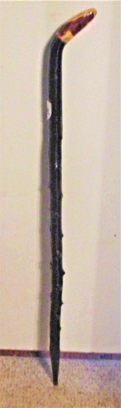 HARVESTED FROM THE FARM IN IRELAND IRISH SHILLELAGH BLACKTHIORN WALKING STICK