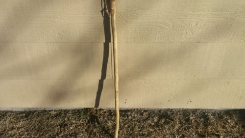Handmade Walking Stick/cane 42 1/2 inches