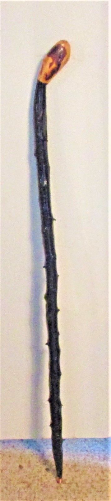 FROM IRELAND THE IRISH SHILLELAGH BLACKTHORN WALKING STICK HARVESTED BY THE FARM