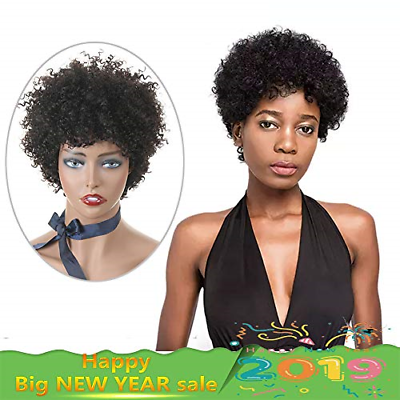 Afro Kinky Curly Human Hair Wigs Brazilian Fluffy Curls Short Wig for Black Remy
