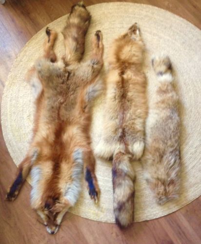 Lof Of Fox Furs