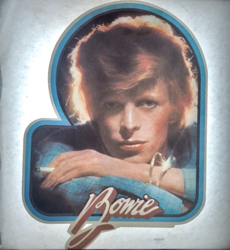 David Bowie Vintage Iron-On Shirt Transfer - Pink Floyd Led Zeppelin Rock Glam