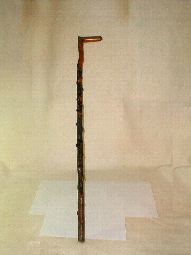 Antique heavy thorn wood cane walking stick old sturdy dowel handle