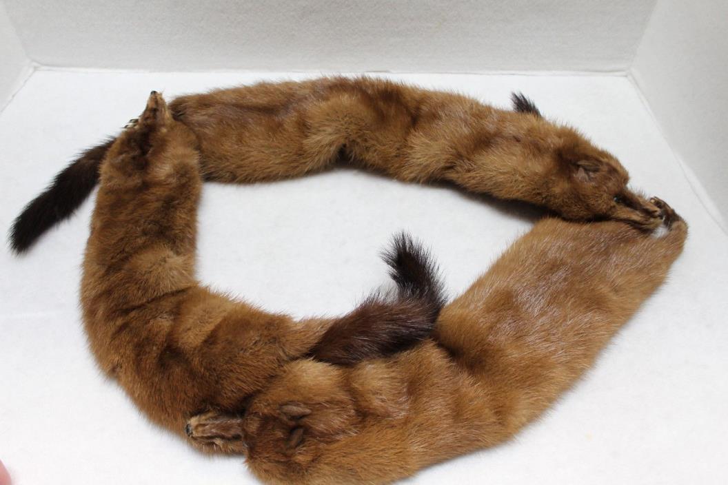 VINTAGE BROWN MINK COLLAR STOLE WRAP 3 FULL FUR PELTS