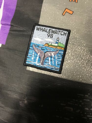 VTG 1998 Whale watch Graphic Patch