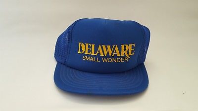 Delaware Small Wonder Blue Vintage Snapback Trucker Hipster Hat Cap Mesh