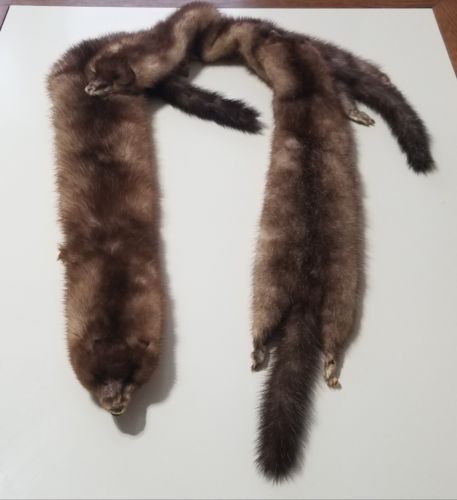 Vintage 3 Full Bodied Mink Stole Scarf Fur Tail Brown Shawl Neck Collar 54