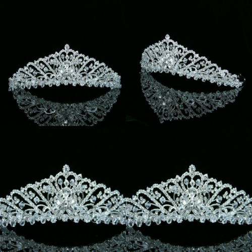 Bridal Wedding Princess Rhinestones Crystal Flower Tiara Crown SILVER Plating