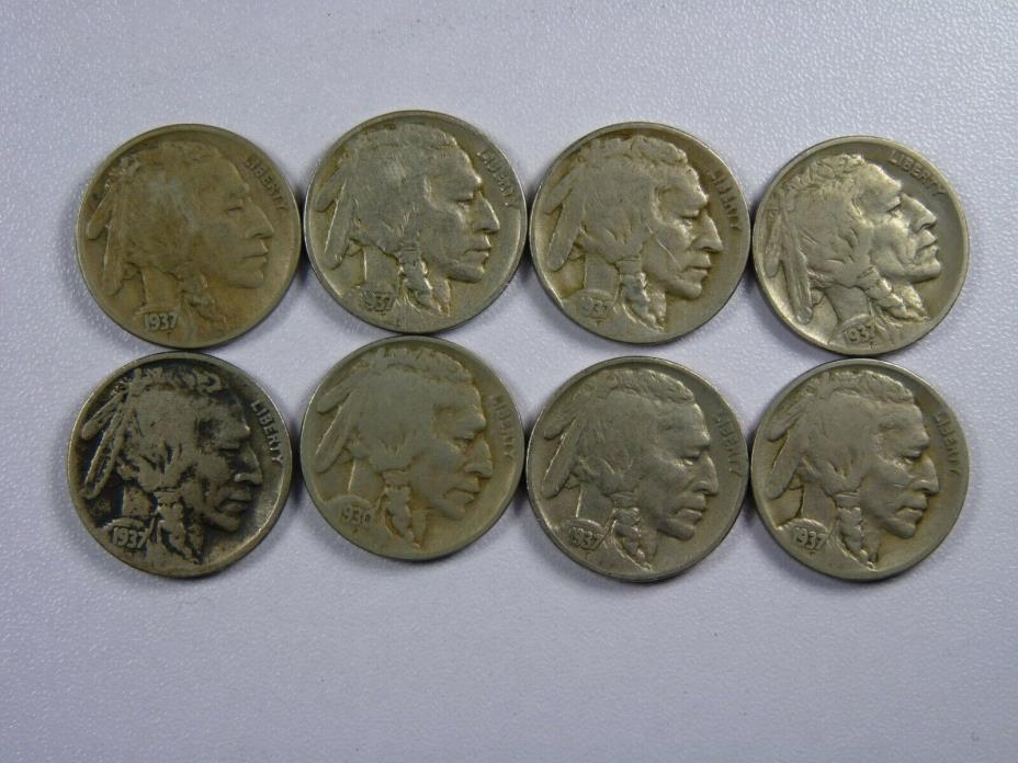 Lot of Buffalo Nickels 1930-1937 (8 coins) - Nice Details!