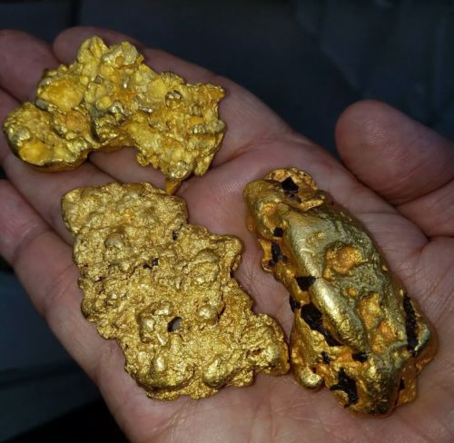 ??(3) LARGE GOLD NUGGETS ??Incredible Rarity (8.39 oz.)??(6.02 oz.)??(5.24 oz.)