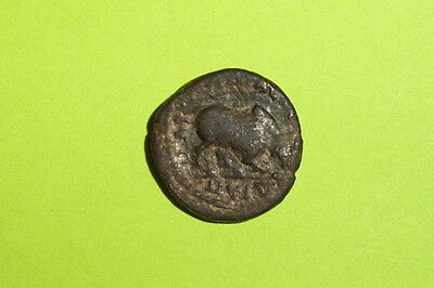 Trapezopolis Caria 138 AD ancient ROMAN COIN bull butting Athena VG treasure art