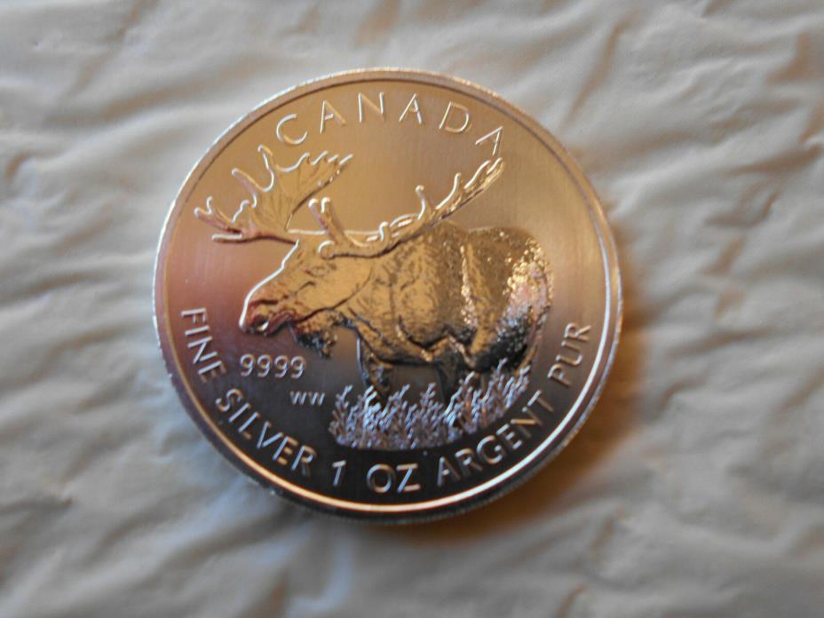 GEM  2012  9999 silver moose  FRESH FROM A MINT TUBE   no white spots